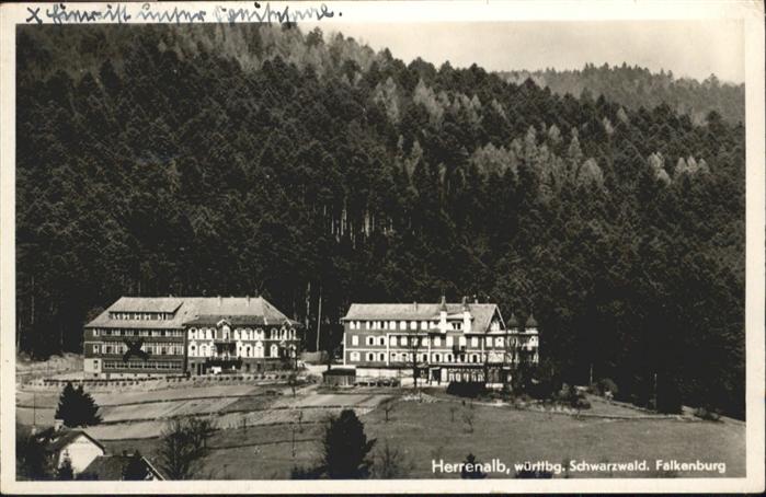 Bad Herrenalb Falkenburg