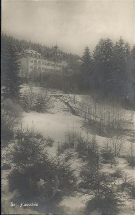 Deggendorf Donau [Stempelabschlag]  San Hausstein