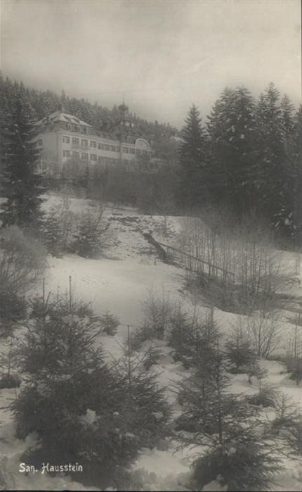Deggendorf Donau [Stempelabschlag] San Hausstein