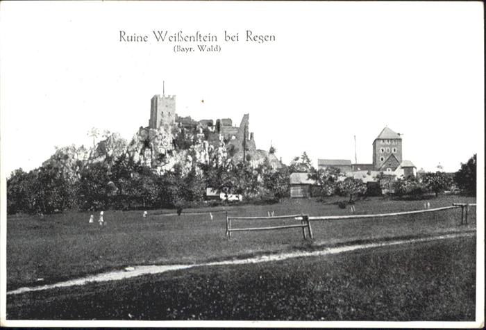Regen Ruine Weissenstein