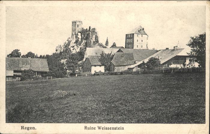 Regen Ruine Weissenstein
