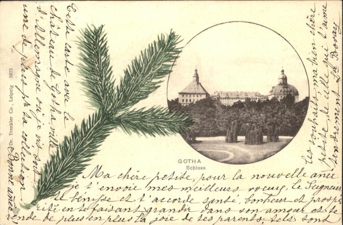 Gotha Thueringen Schloss  Tannenzweig