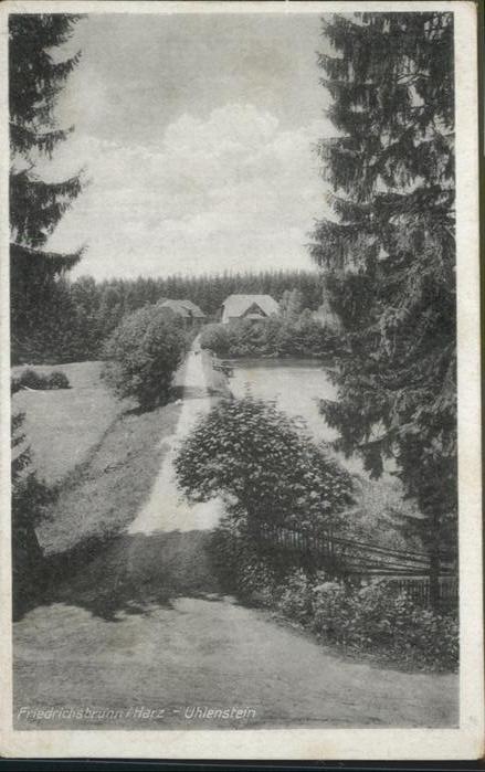 Friedrichsbrunn Harz Uhlenstein