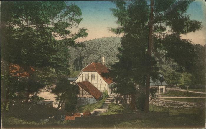 Eisenberg Thueringen Froschmühle