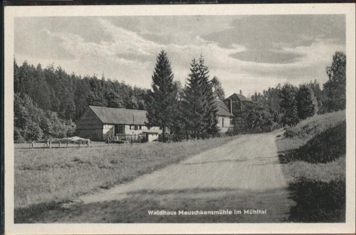 Eisenberg Thueringen Mühltal Meuschkkensmühle