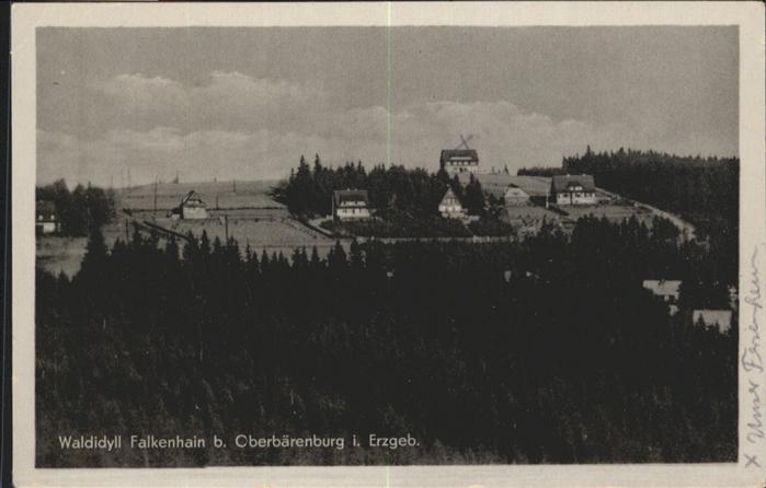 Oberbaerenburg Baerenburg Waldidyll Falkenhain