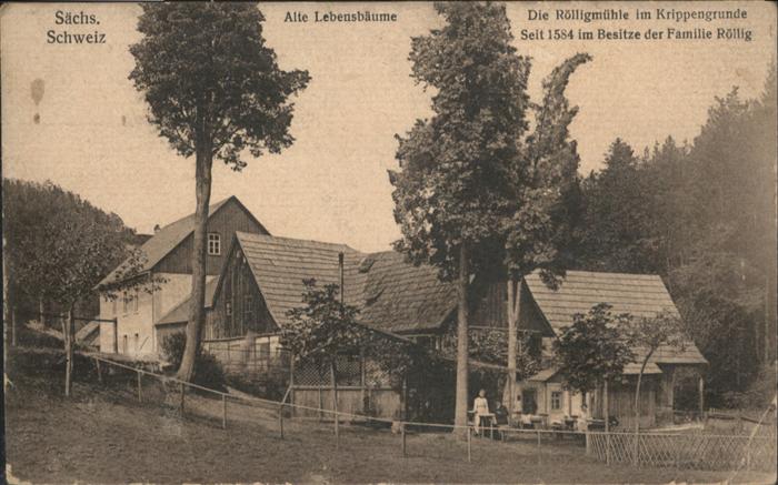 Krippen Bad Schandau Rölligmühle