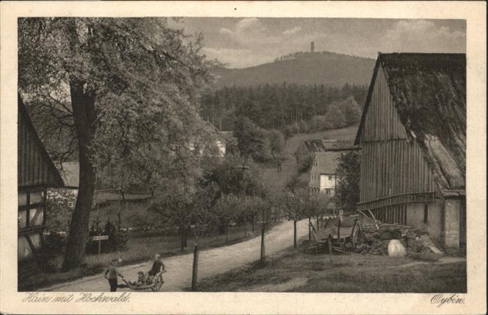 Oybin Sachsen Hain Hochwald