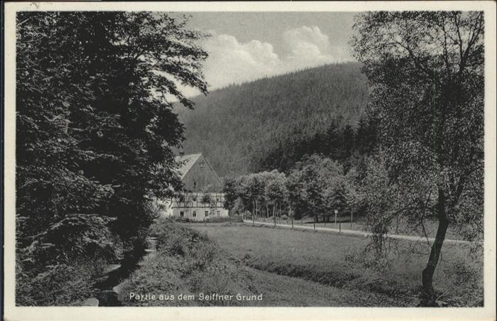 Seiffen Erzgebirge Seiffner Grund