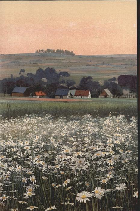 Annaberg-Buchholz Erzgebirge Mildenau