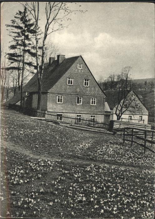 Karl-Marx-Stadt CHEMNITZ Krokuswiesen Drehbach