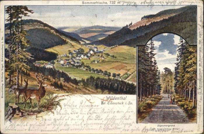 Wildenthal Eibenstock Sommerfrische
