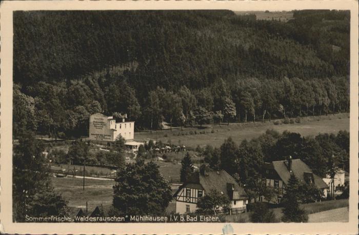 Muehlhausen Vogtland Waldesrauschen