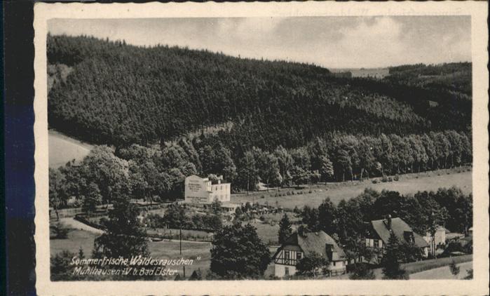 Muehlhausen Vogtland Waldesrauschen