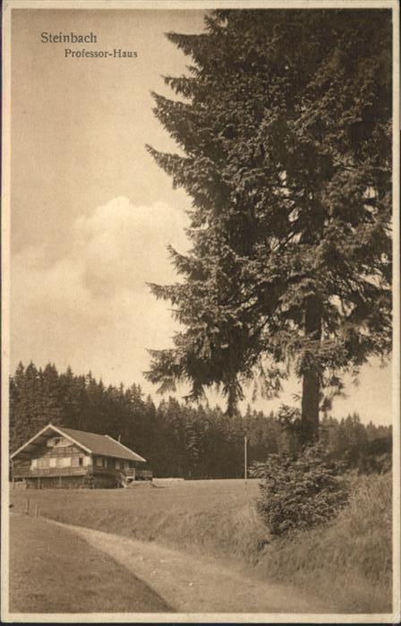 Steinbach Johanngeorgenstadt Professor Haus