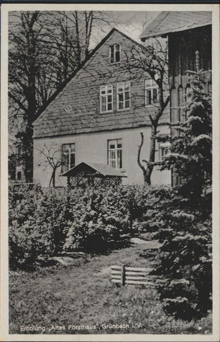 Gruenbach Vogtland Altes Forsthaus