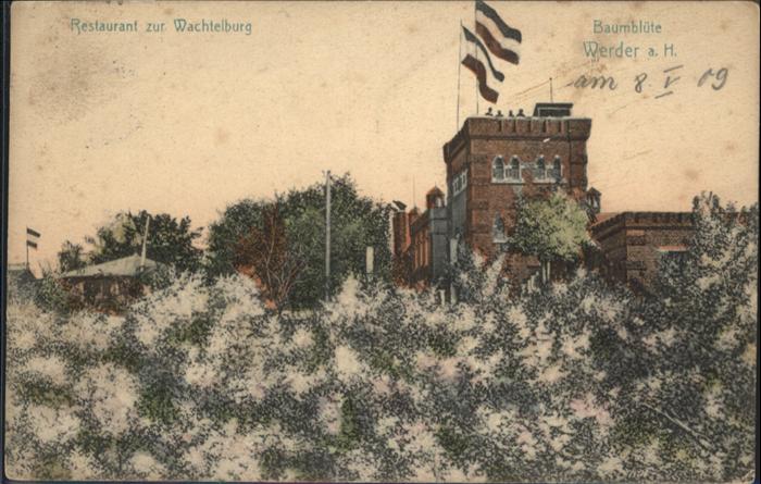 Werder Havel Baumblüte Restaurant Zur Wachtelburg