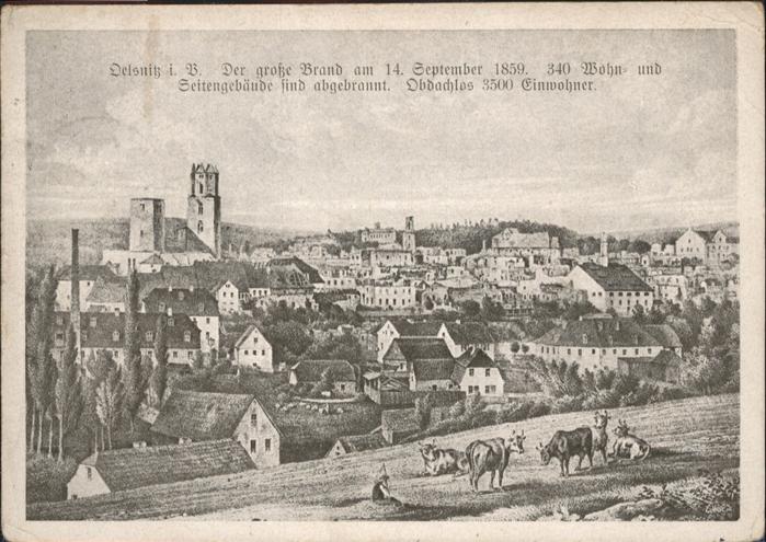 Oelsnitz Vogtland Kühe