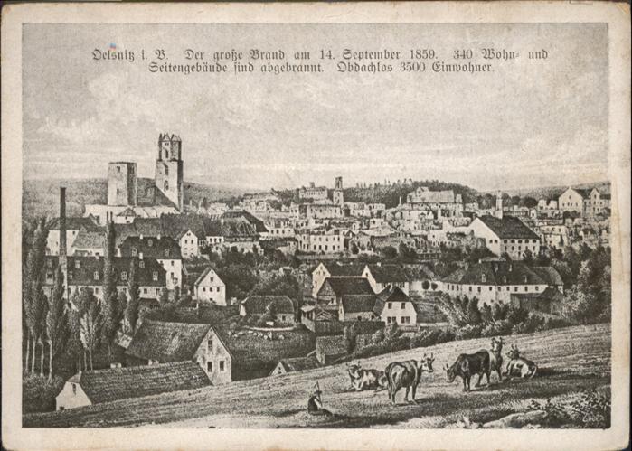 Oelsnitz Vogtland Kühe