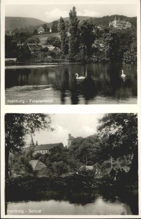 Ilsenburg Harz Forellenteich Schloss