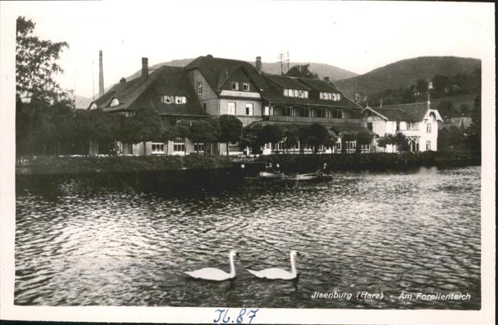 Ilsenburg Harz Forellenteich