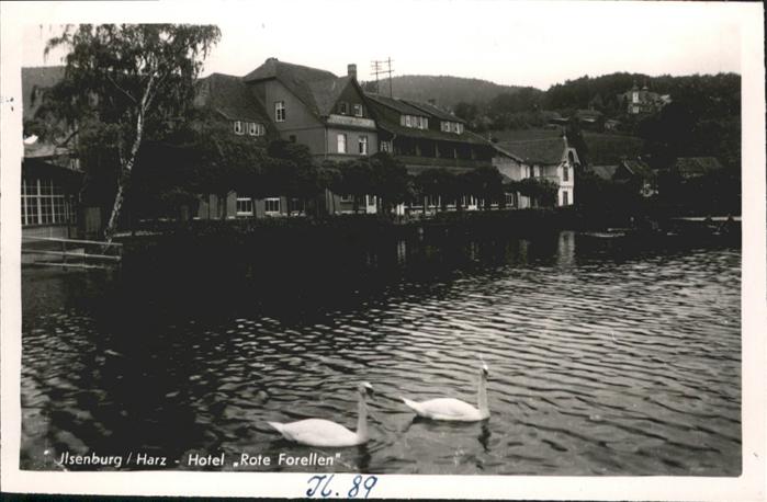 Ilsenburg Harz Hotel Rote Forellen