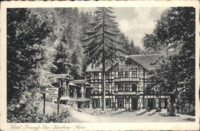 Ilsenburg Harz Hotel Prinzess Ilse