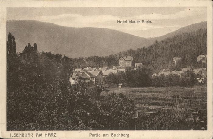 Ilsenburg Harz Hotel blauer Stein Buchberg