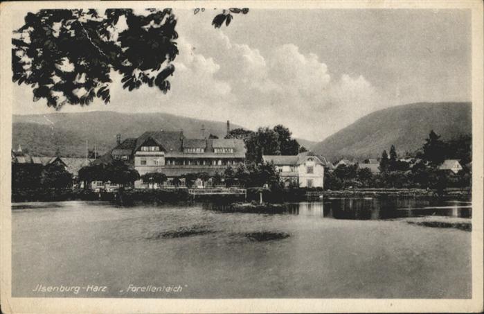 Ilsenburg Harz Forellenteich