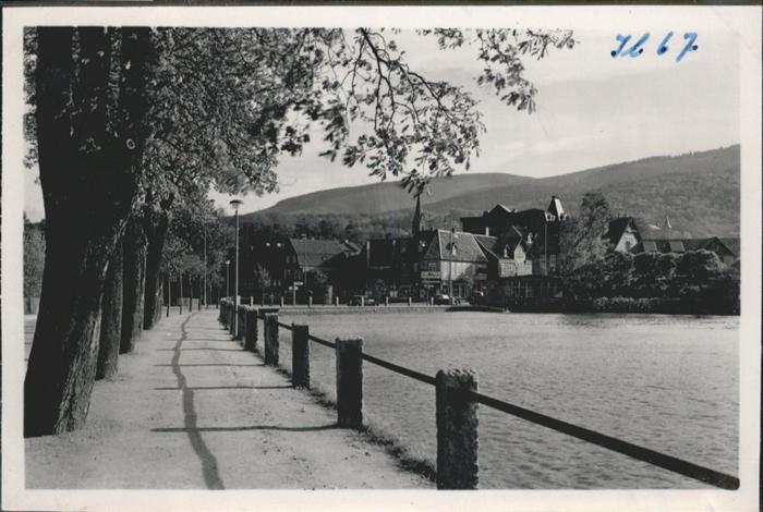 Ilsenburg Harz Forellenteich