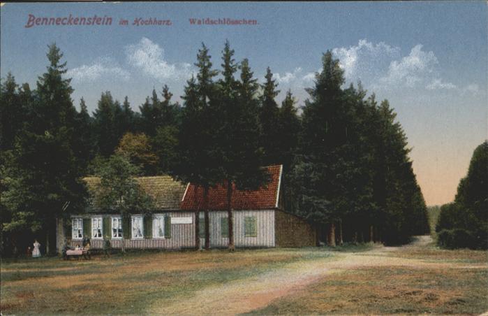 Benneckenstein Waldschloss