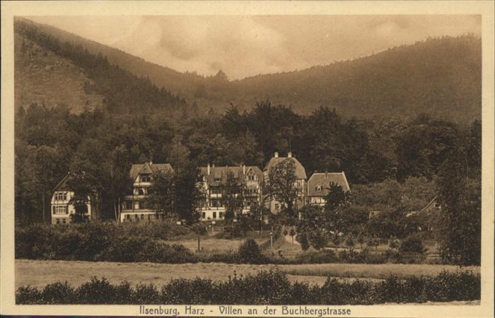 Ilsenburg Harz Villen Buchbergstrasse