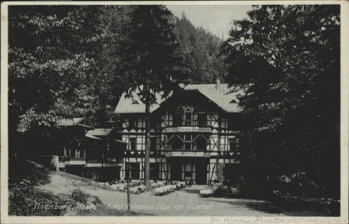 Ilsenburg Harz Hotel Prinzess Ilse