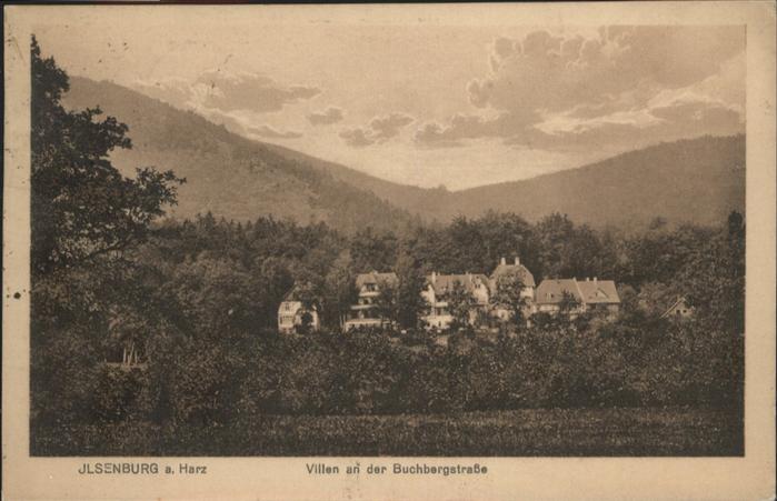 Ilsenburg Harz Villen Buchbergstrasse
