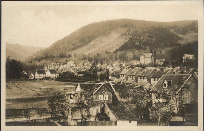 Ilsenburg Harz Buchberg