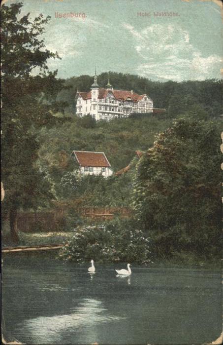 Ilsenburg Harz Hotel Waldhöhe