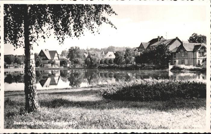 Ilsenburg Harz Forellenteich