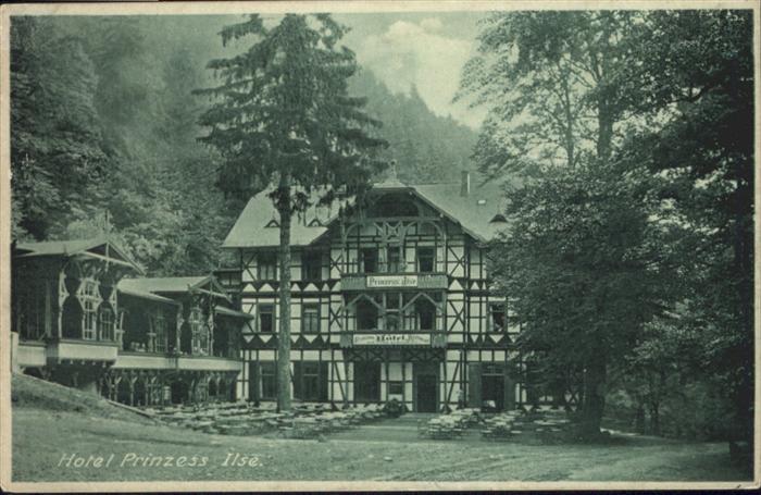 Ilsenburg Harz Hotel zu den roten Forellen Hotel Prinz