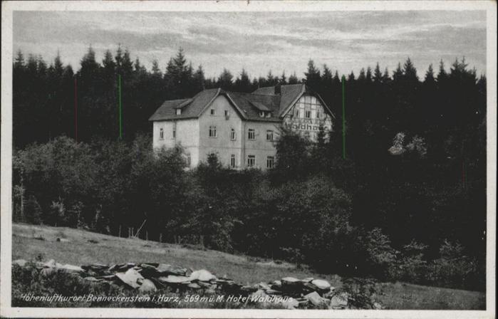 Benneckenstein Hotel Waldhaus