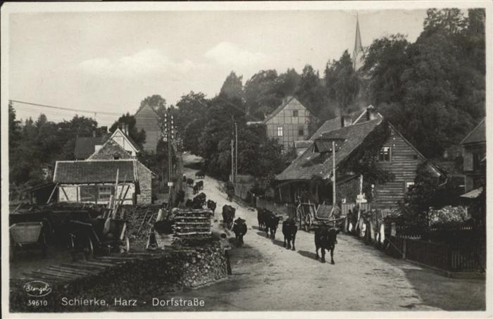 Schierke Harz Dorfstrasse Kuhherde