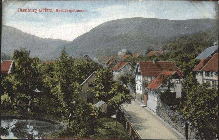 Ilsenburg Harz Buchbergstrasse