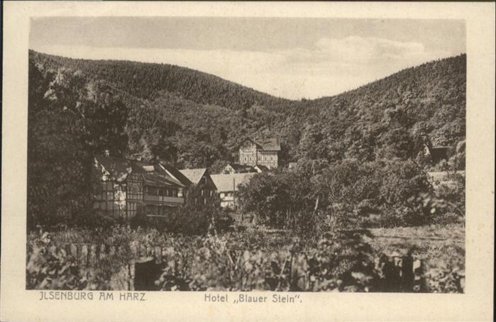 Ilsenburg Harz Hotel Blauer Stein