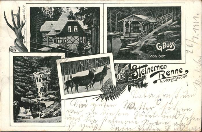 Wernigerode Harz Steinerne Renne Hirsch