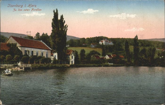 Ilsenburg Harz Forellen