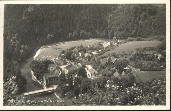 Ilsenburg Harz vom weissen Hirsch
