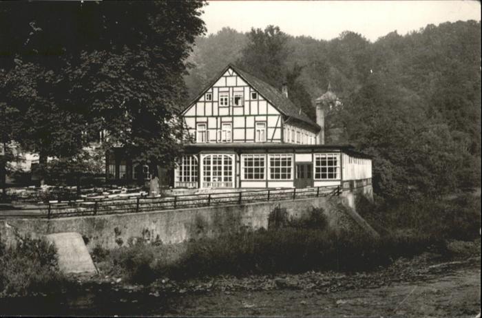 Ilsenburg Harz Hotel weisser Hirsch