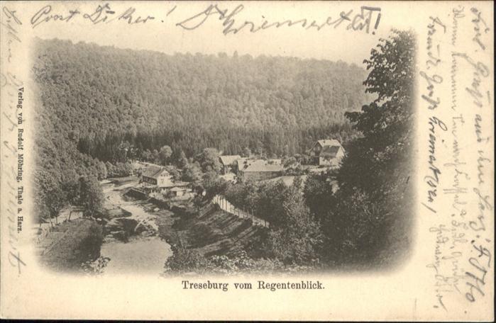 Ilsenburg Harz vom Regentenblick