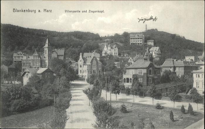 Blankenburg Harz Villen Ziegenkopf