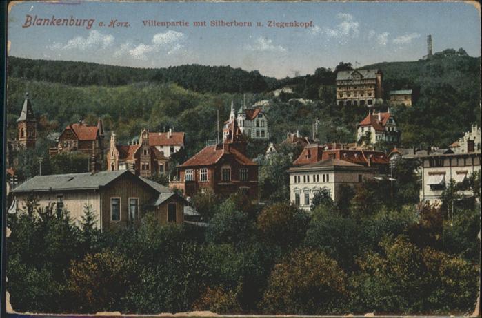 Blankenburg Harz Villen Silberborn Ziegenkopf
