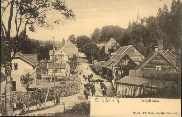 Schierke Harz Dorfstrasse Kühe